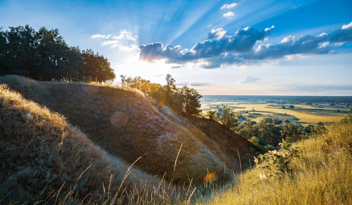 Czy można robić biznes samemu?