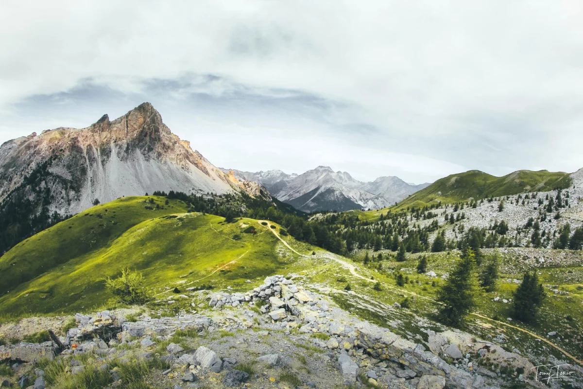 zrobić tofu fetę? Szybko!