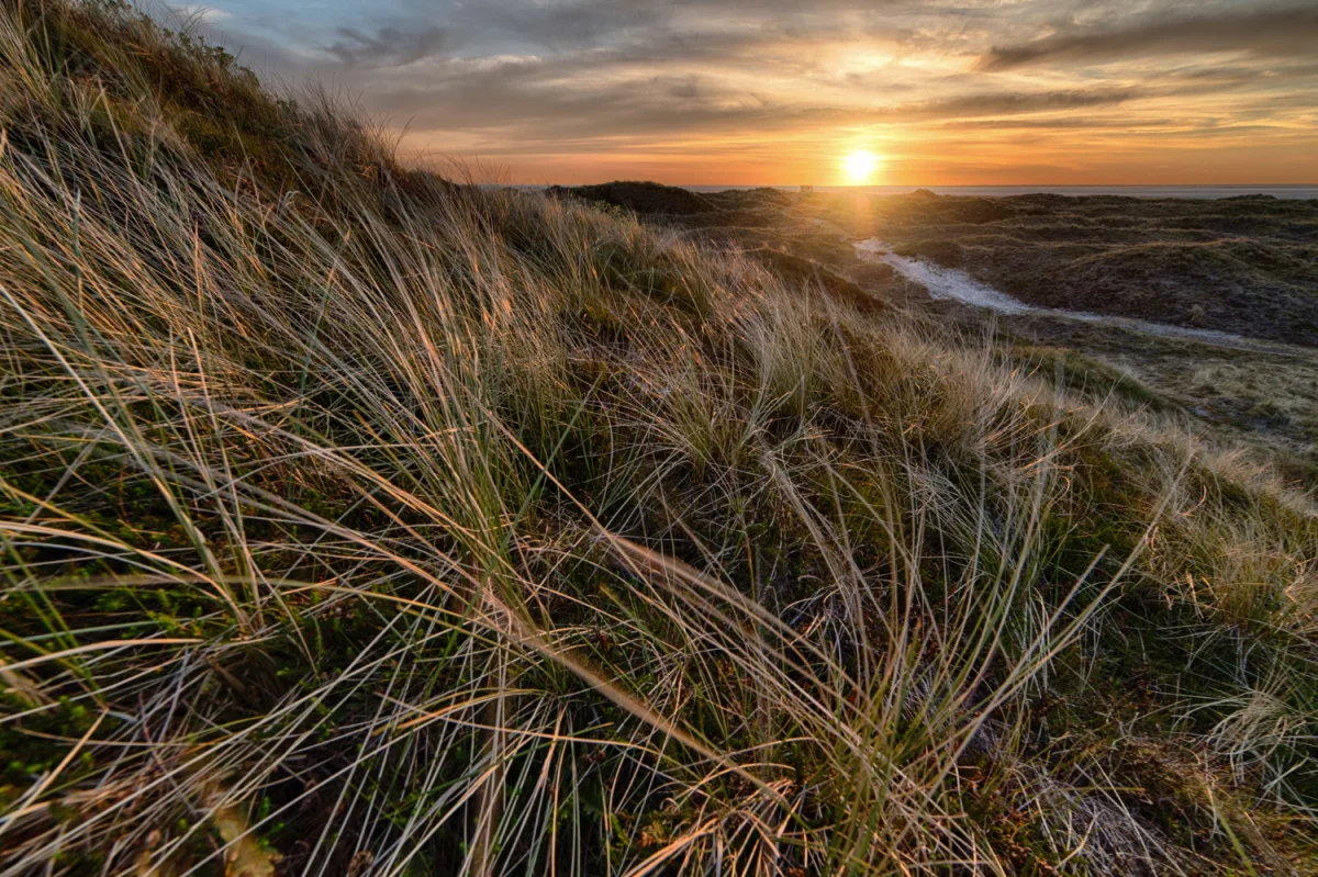 Nowe dane jak robić tanie pozycjonowanie