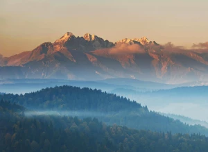 Śmiali Się Gdy Powiedziałem, że Chcę wynająć podnośnik. Ale Gdy Zobaczyli Jak ...